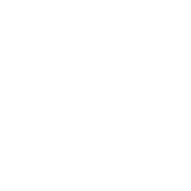 Em systsems sdn bhd - experience